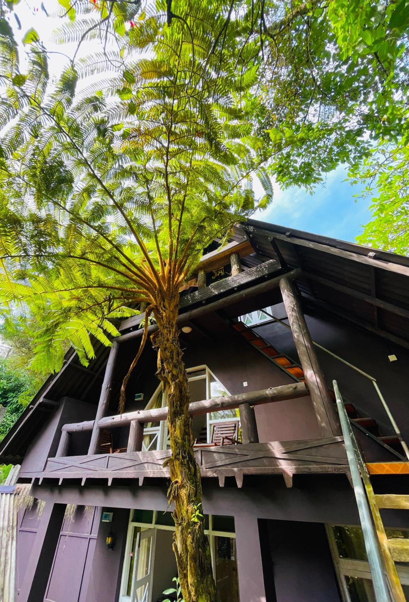 King Fern Cottage Нувара-Елія Екстер'єр фото